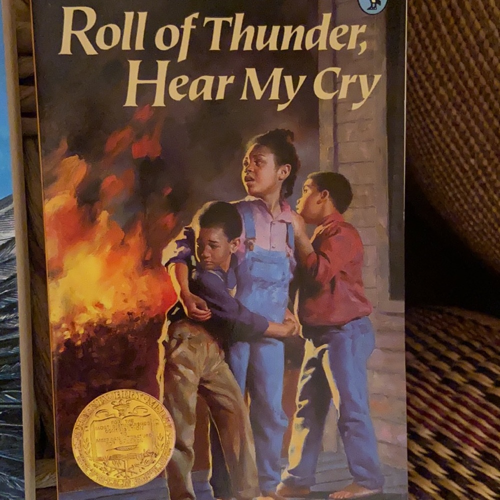 Newberry Award Winning 🏆 Young Readers Classics - Picture 3 of 9